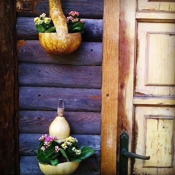 Hibou Chambres - Cogne Buitenkant foto