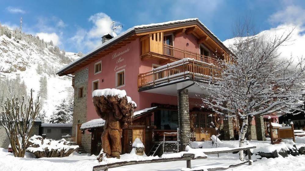 Hibou Chambres - Cogne Buitenkant foto
